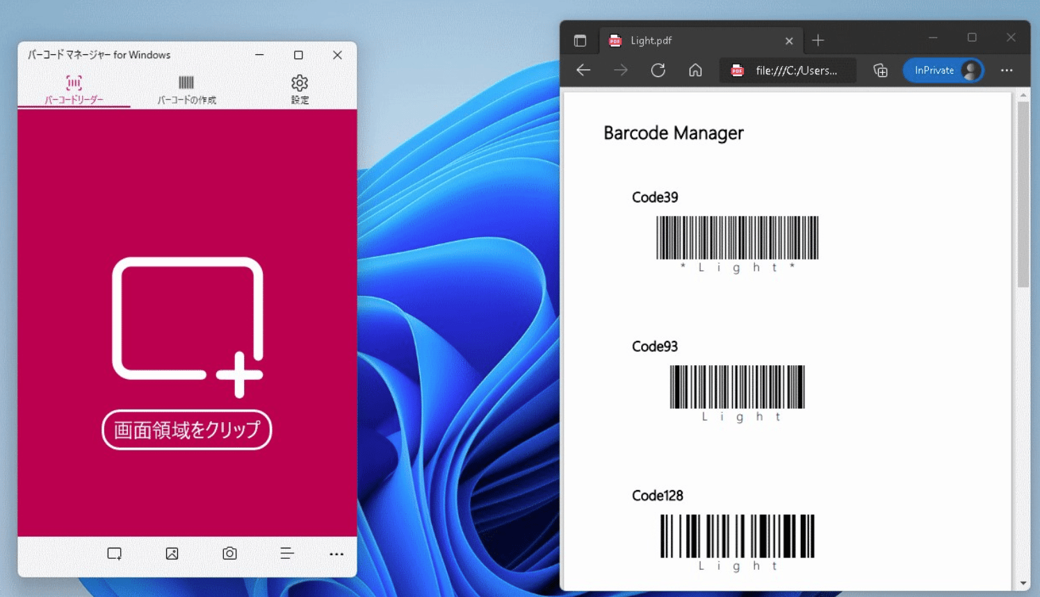 画面領域選択画面 画面領域選択画面